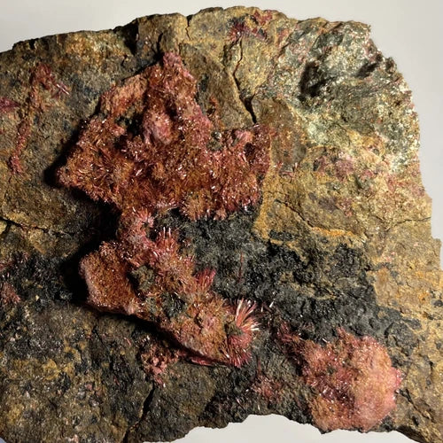 Erythrite Crystal Sprays & Druzy Alamos Sonora MEXICO 137g