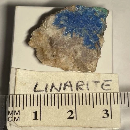 Linarite Crystals on Quartz from NEW MEXICO