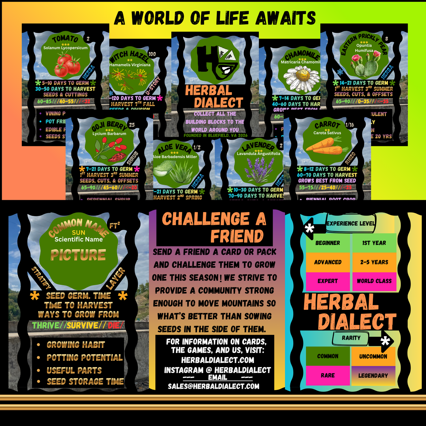 50 DECKS - HERBAL DIALECT 55 CARD DECKS - SHARE or BECOME A DISTRIBUTER