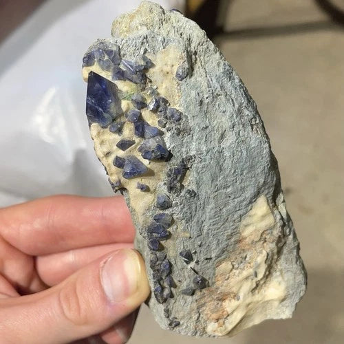 Benitoite Crystals In Crossite Matrix San Benito Co CALIFORNIA USA
