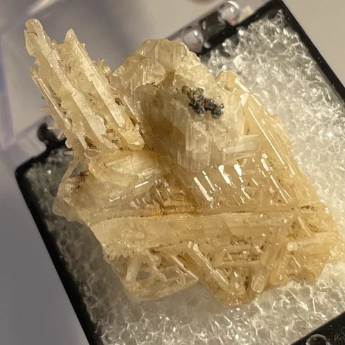 Cerussite Crystal Tsumeb NAMIBIA - Reticulated -