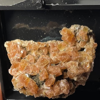 Chabazite Crystals Wassons Bluff Cumberland Co Nova Scotia CANADA