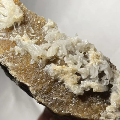 Fairfieldite & Fluorapatite Crystals Foote Mine Cleveland Co NORTH CAROLINA USA