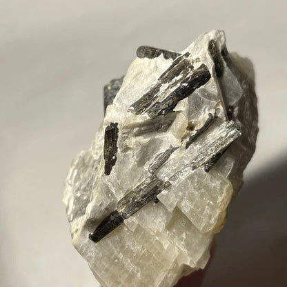 Fluororichterite Crystals In Calcite Wilberforce Ontario CANADA