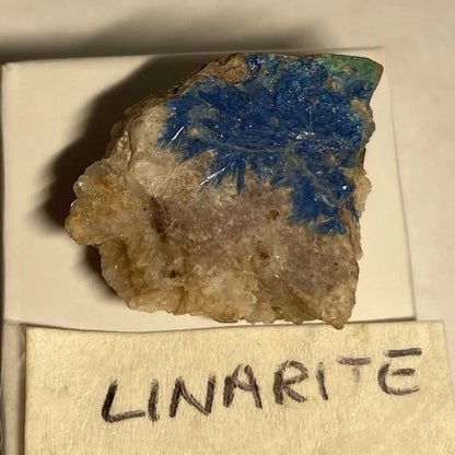 Linarite Crystals on Quartz from NEW MEXICO