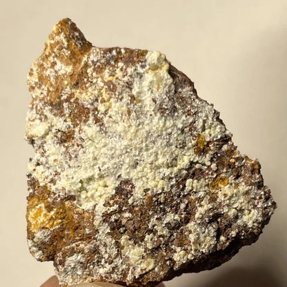 Matulaite Crystal Druzy Bachman Mine Northampton Co PENNSYLVANIA USA 10g