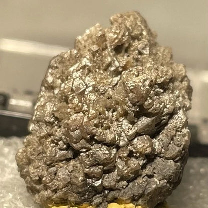 Newberyite Crystal (TL) Skipton Victoria AUSTRALIA Type Locality