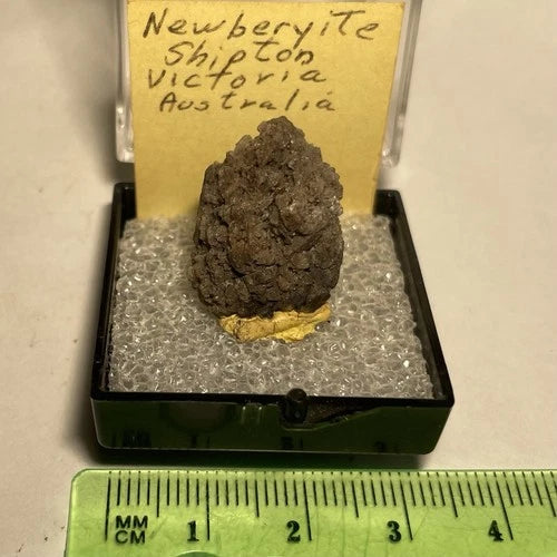 Newberyite Crystal (TL) Skipton Victoria AUSTRALIA Type Locality