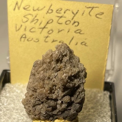 Newberyite Crystal (TL) Skipton Victoria AUSTRALIA Type Locality