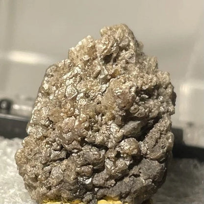 Newberyite Crystal (TL) Skipton Victoria AUSTRALIA Type Locality