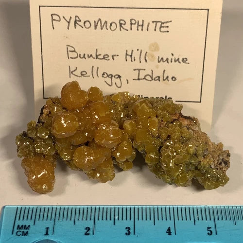 Pyromorphite Crystals Bunker Hill Mine Kellogg IDAHO