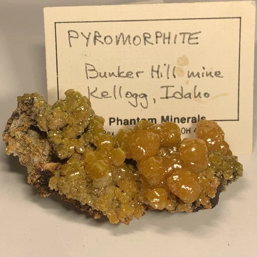 Pyromorphite Crystals Bunker Hill Mine Kellogg IDAHO