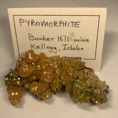 Pyromorphite Crystals Bunker Hill Mine Kellogg IDAHO