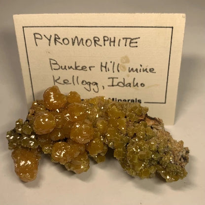 Pyromorphite Crystals Bunker Hill Mine Kellogg IDAHO