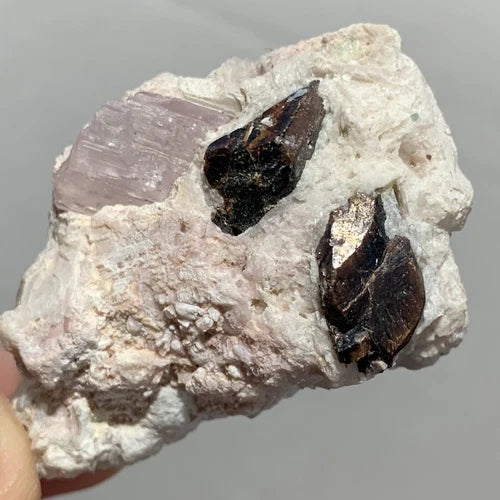 Tantalite & Kunzite Crystals On Matrix Kunar AFGHANISTAN 45g