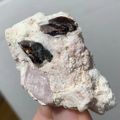 Tantalite & Kunzite Crystals On Matrix Kunar AFGHANISTAN 45g