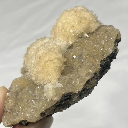 Thomsonite Crystals On Either Smithsonite Or Heulandite From INDIA 75g
