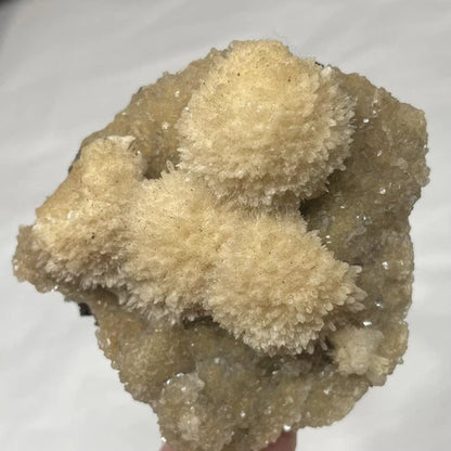 Thomsonite Crystals On Either Smithsonite Or Heulandite From INDIA 75g