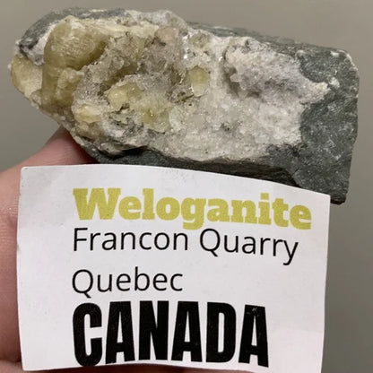 Welogonite Crystals On Matrix Francon Qry Quebec CANADA