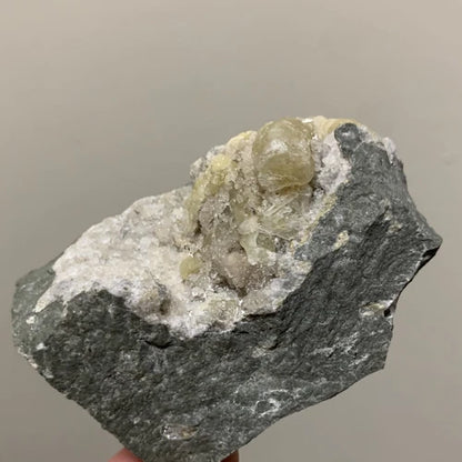 Welogonite Crystals On Matrix Francon Qry Quebec CANADA